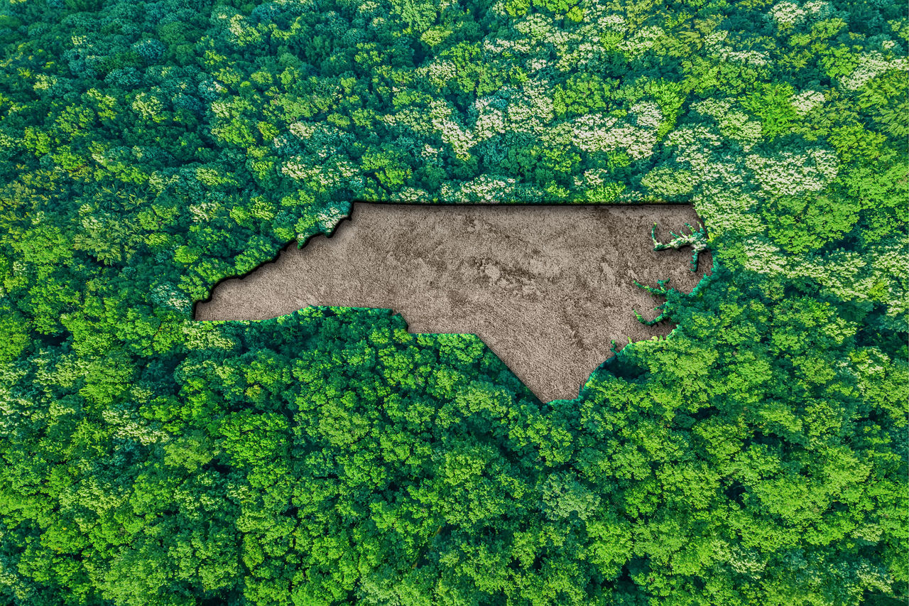 Sustainable habitat Map of North Carolina, Environment concept